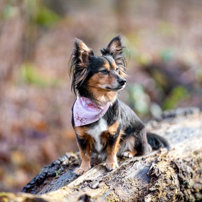 Hund trägt personalisiertes Bandana im Western-Boho-Stil mit Halsband