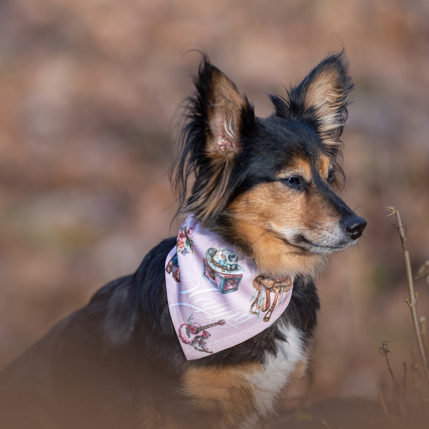 Personalisiertes Hunde-Bandana im Western-Boho-Design mit Namen, beidseitig bedruckt