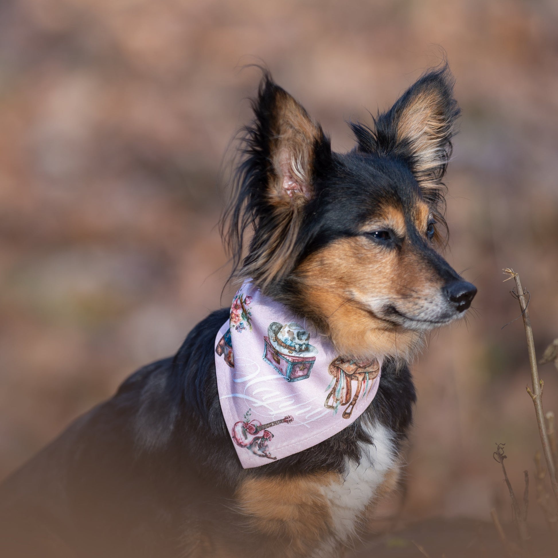 Personalisiertes Hunde-Bandana im Western-Boho-Design mit Namen, beidseitig bedruckt